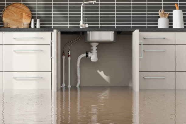 Best Commercial Water Damage Restoration in Farmington, MN